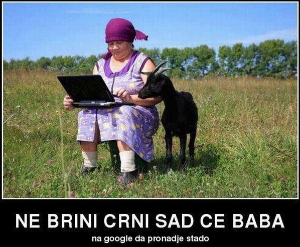 Moderne babe pastirice: Pitaj Gugl da ti stado ovaca nađe