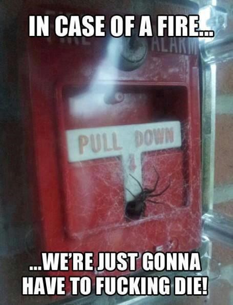 Ovdje očito požara nema često