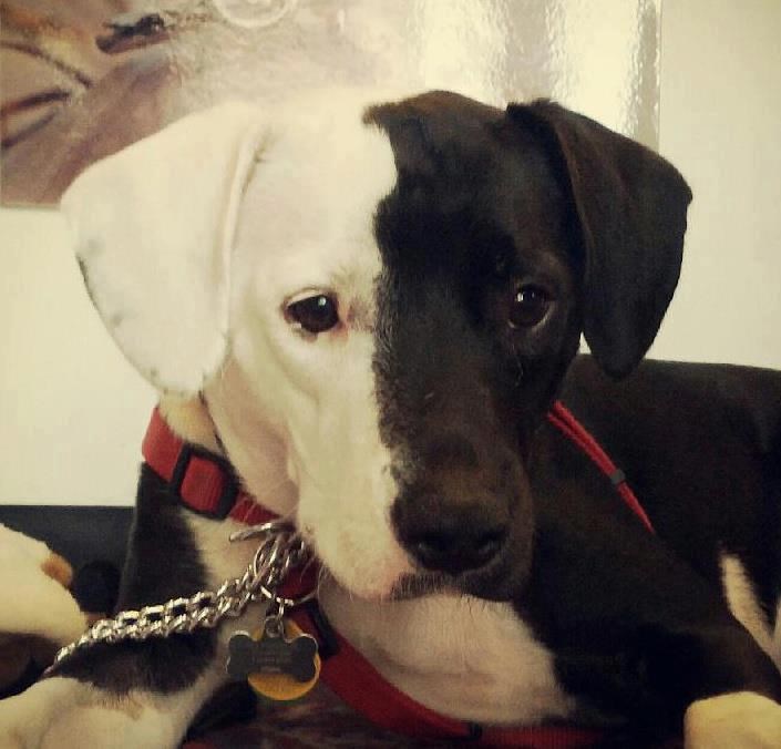 Crno-bijeli svijet :)