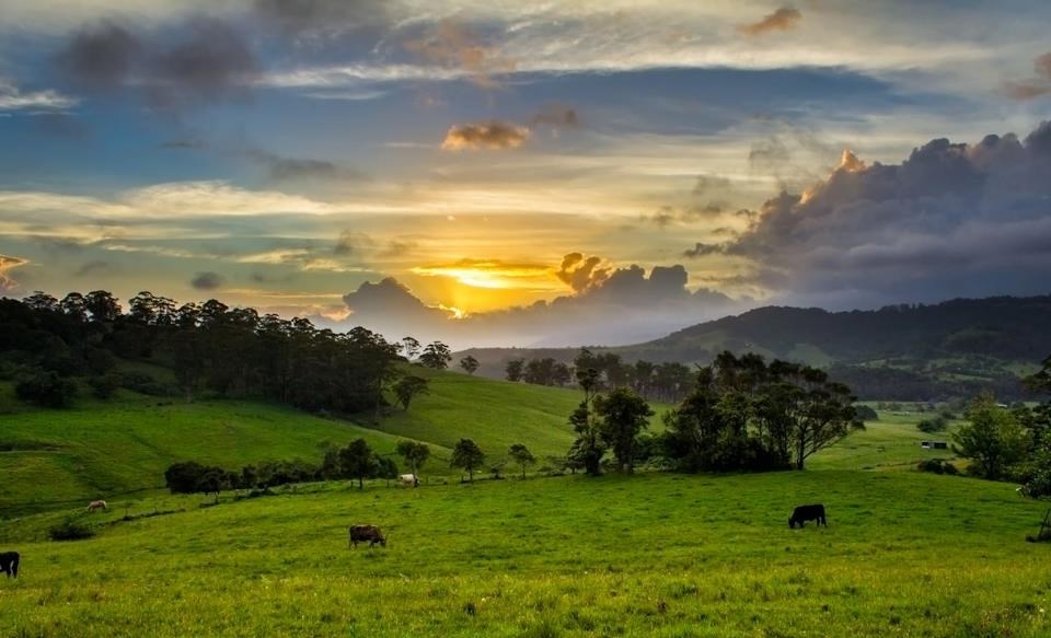 Idealno mjesto za pustiti mozak "na pašu"