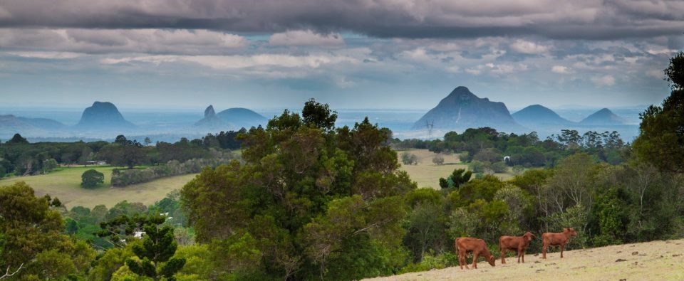 "Staklene" planine na australskoj "Sunčanoj obali"