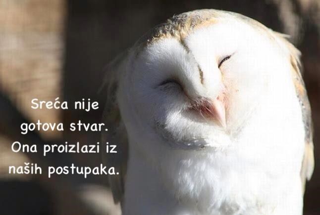 Pobrini se sam za svoju sreću, ne dolazi u instant pakiranju