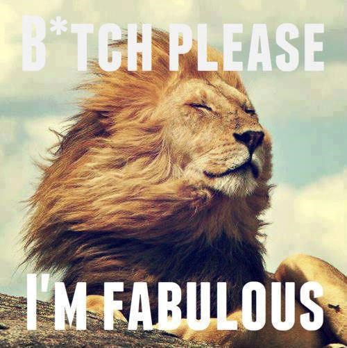 Lavu pozeru griva postojana u svim vremenskim uvjetima