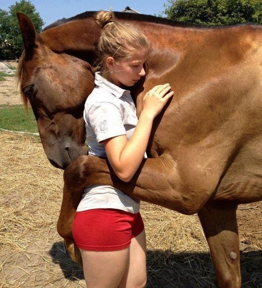 Bezgranična ljubav: Konj zagrlio svoju vlasnicu