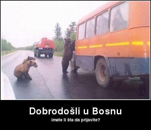 Carinska kontrola kakvoj se nitko nije nadao