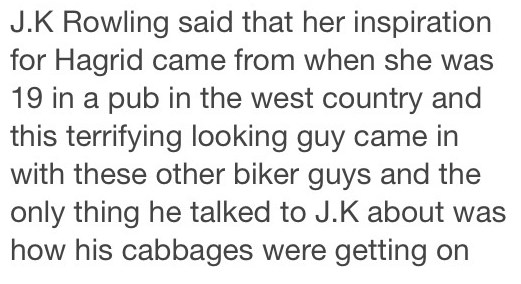 Odakle inspiracija za Hagrida iz Harryja Pottera