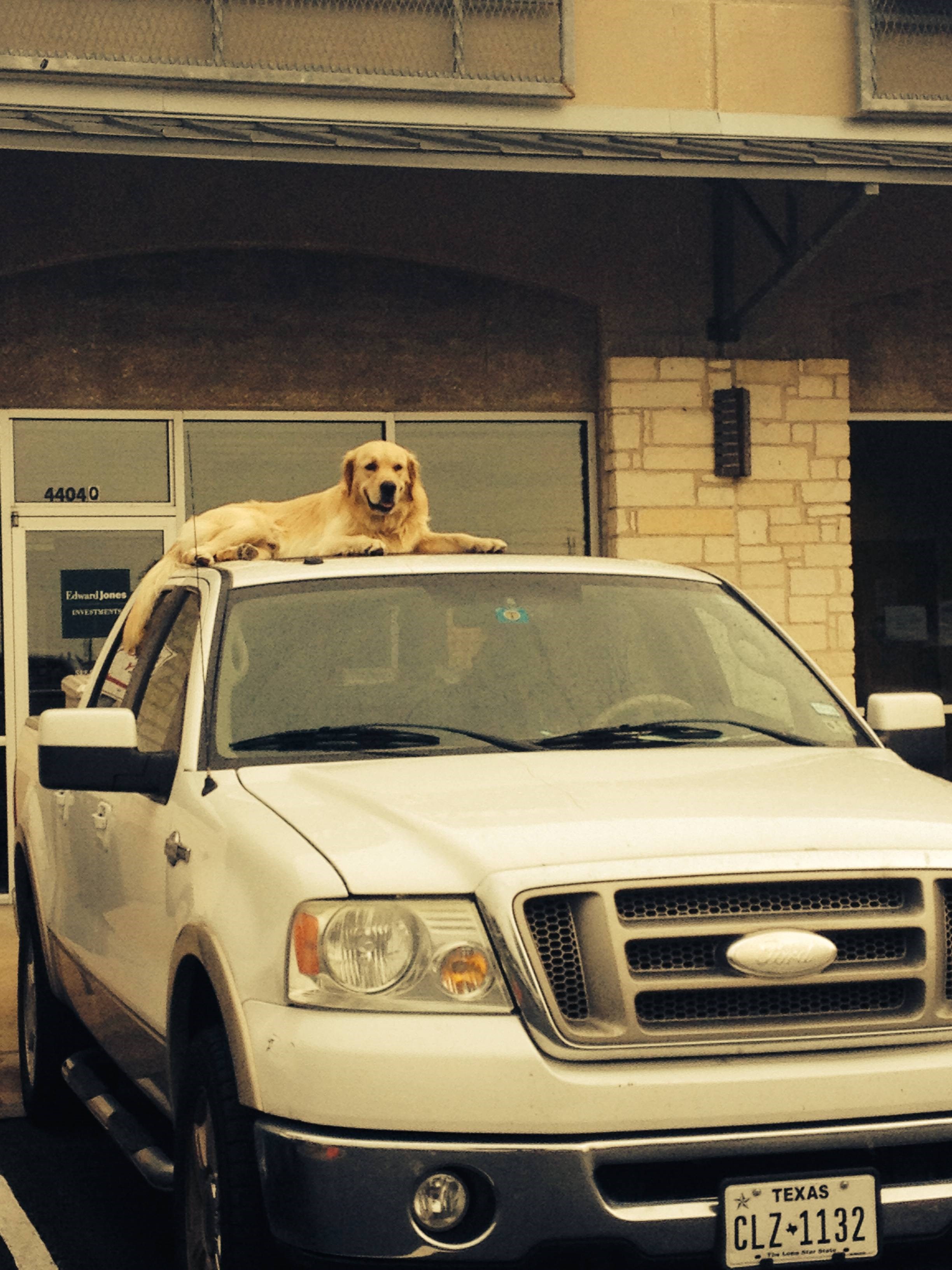 S krova je najbolji pogled