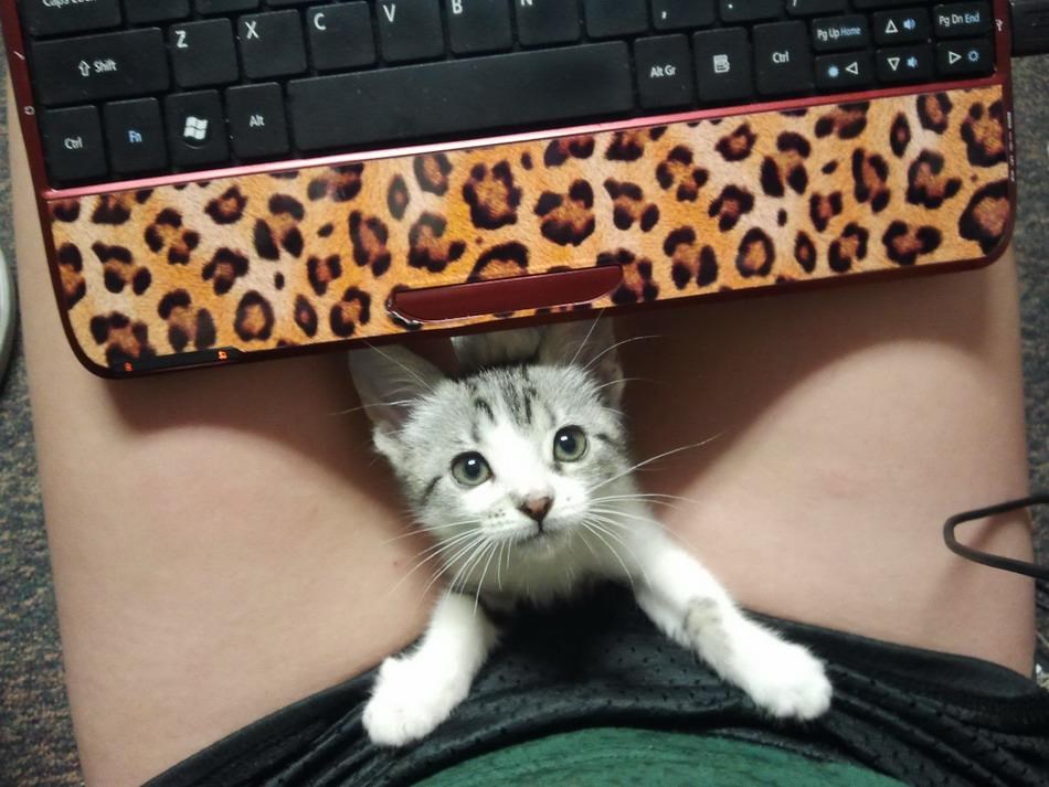 Raširila noge i pokazala mica macu