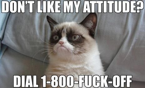 Mrzovoljnom mačku jebe se za tvoje mišljenje