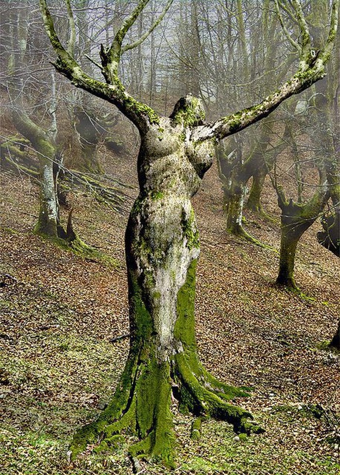 Umjetničko remekdjelo prirode ili Photoshop?