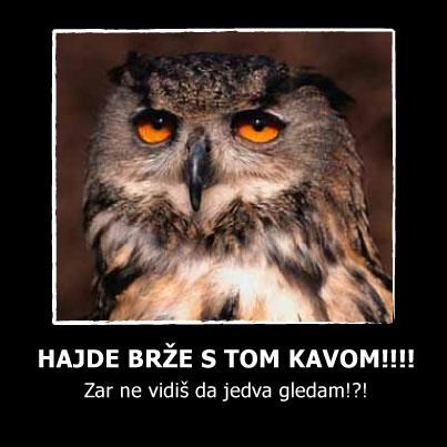 Pokušaj preživjeti ponedjeljak bez jutarnje kave