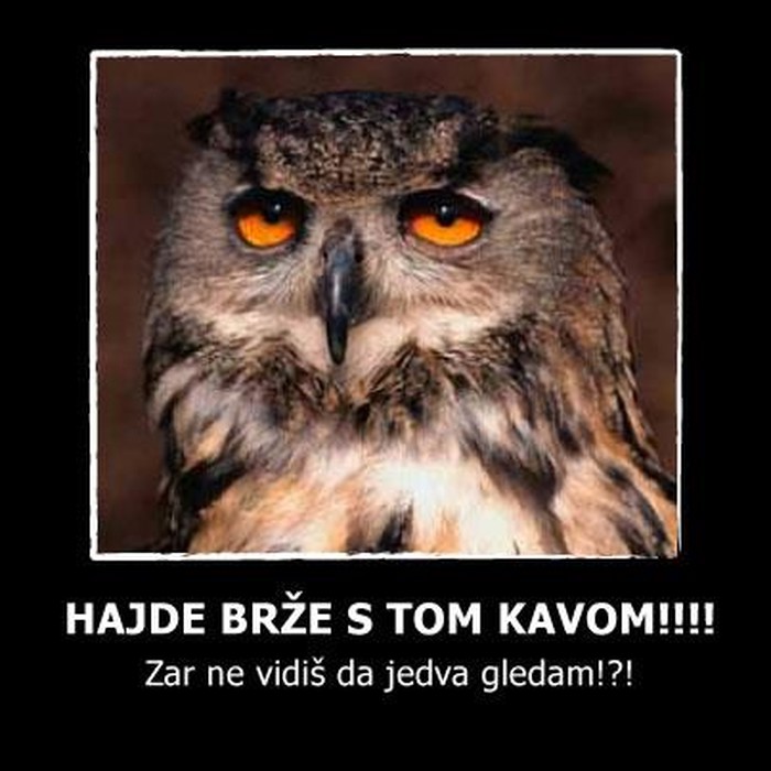 Pokušaj preživjeti ponedjeljak bez jutarnje kave