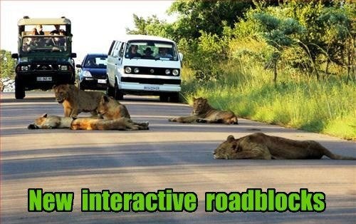 Pa sad ti budi faca i makni ih s ceste...