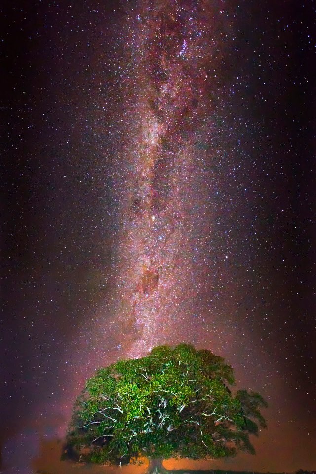 Veličanstveni pogled na mliječnu stazu