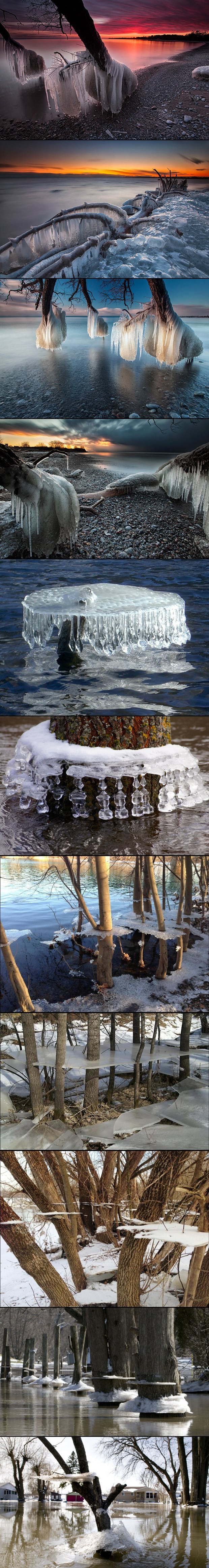 Priroda okovana ledom