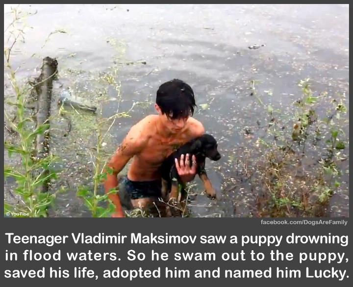 Lucky je sretan što ima dobrih ljudi: Spašen je i udomljen!