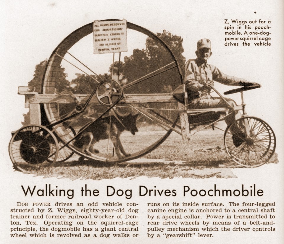 Pseće snage umjesto konjskih