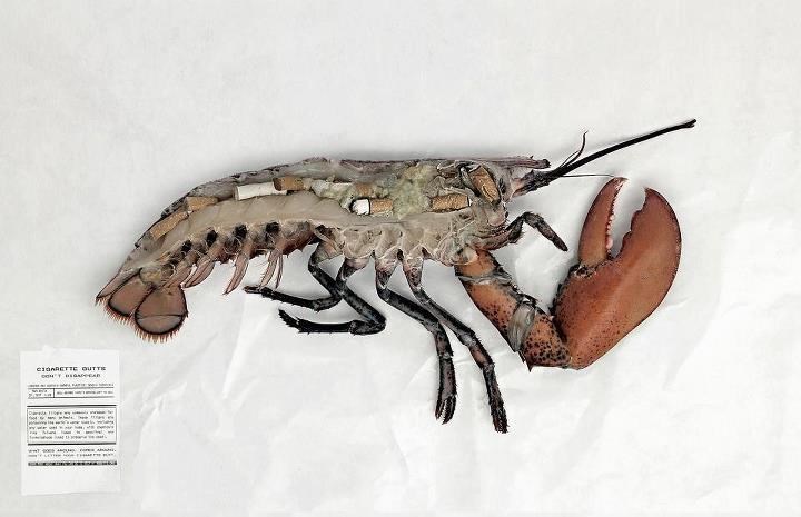 Cigaretama ne trujete samo sebe