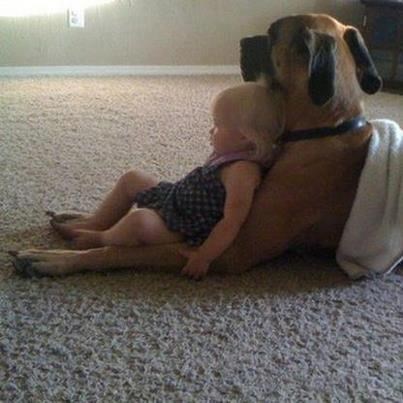 Ona ima najbolju fotelju i prijatelja za cijeli život