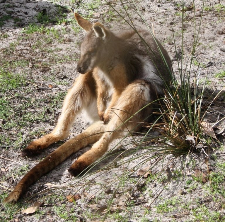 Vidiš čovjek da i ja tak mogu sjediti