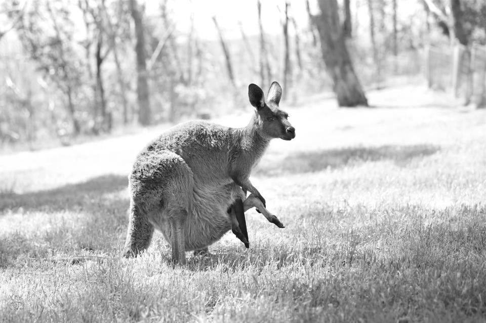 Mali, mislim da je vrijeme da iseliš iz tobolca