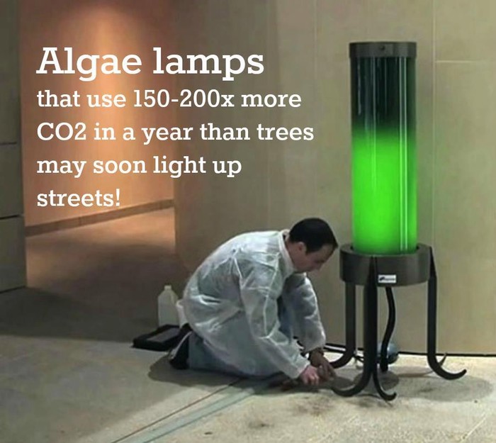 Genijalne eko lampe