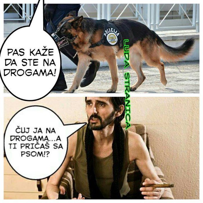 bolje droga nego glavaševa garda