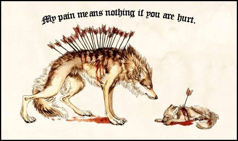 Stop killing wolves!!