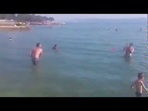 VIDEO: Kako Bosanci bacaju frizbi