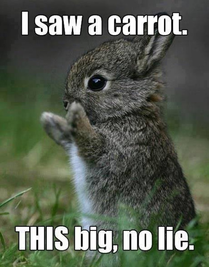 I swear!!!