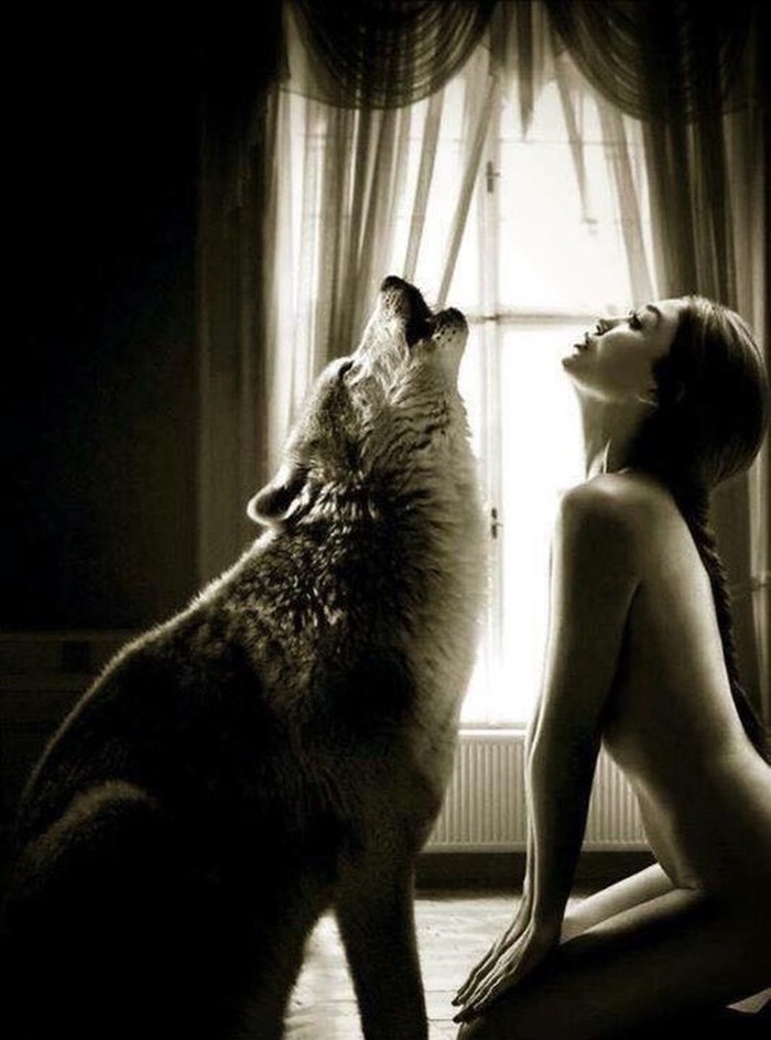 Graywolf- Sisters 