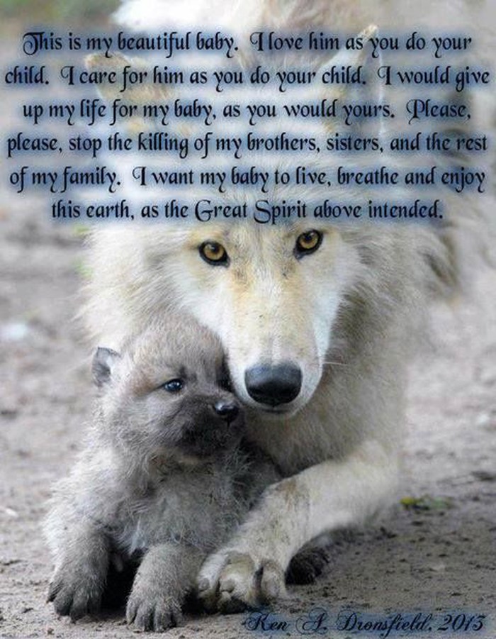 Wight Wolf