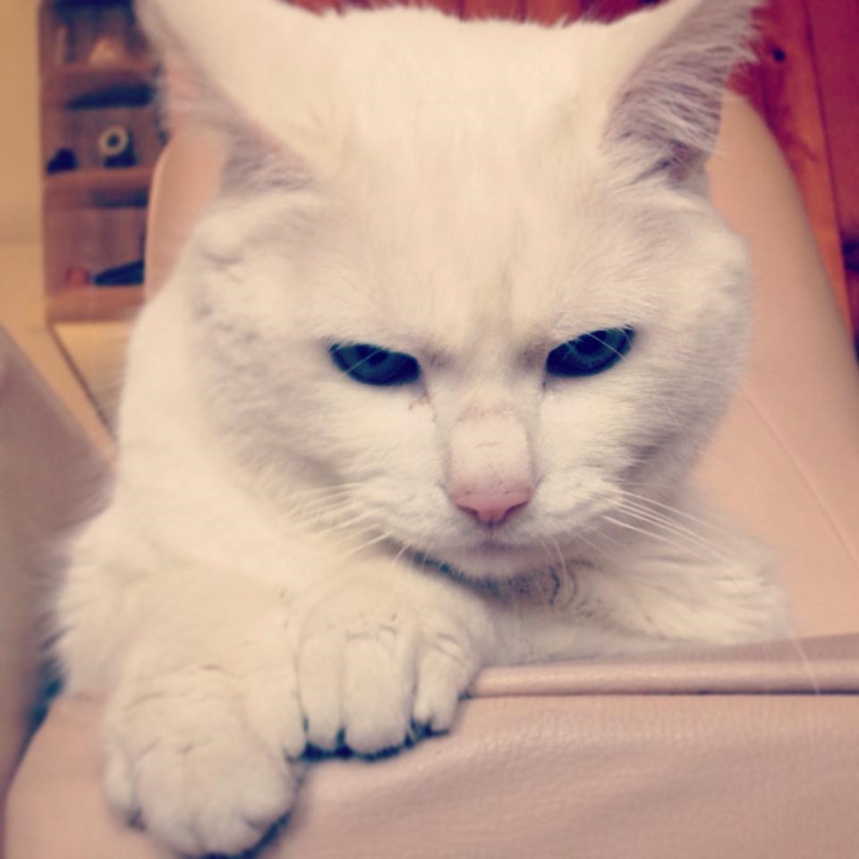 Miky osvaja zavodničkim pogledom