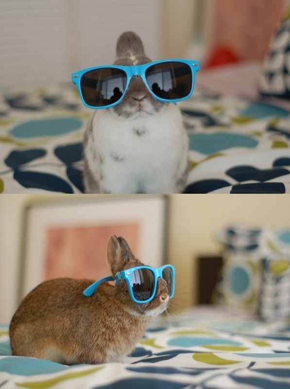 Jeste li i vi spremni za lijep i sunčan dan? 