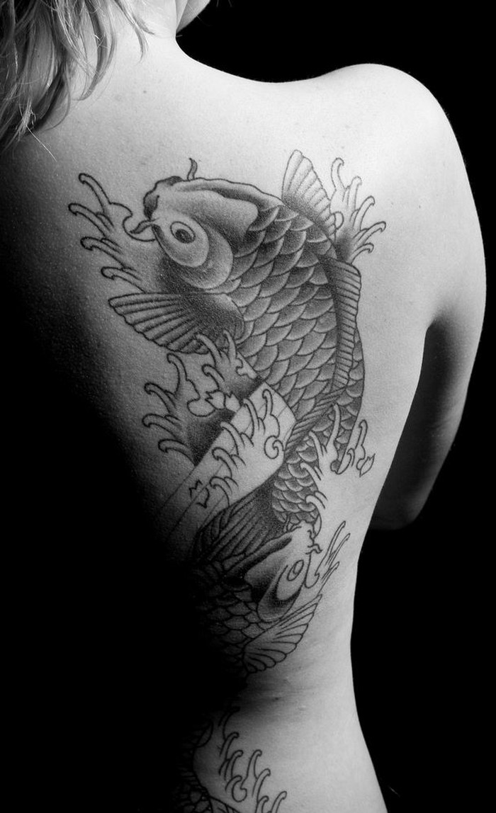 Koi fish