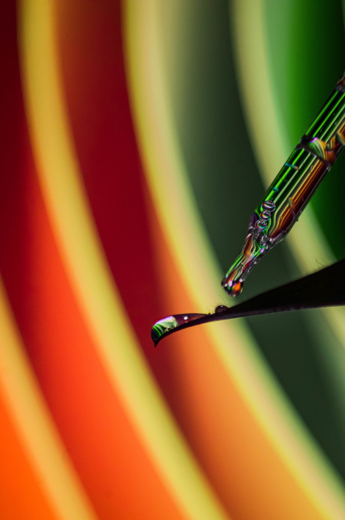 Sounds like colors