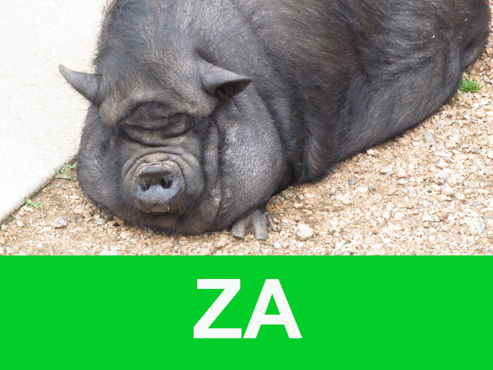 Sigurno je prepoznajete