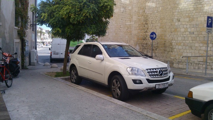 Majmun na invalidskom