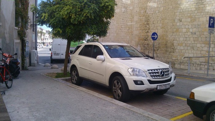 Majmun na invalidskom