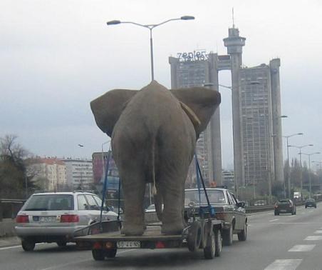 Žak ima koncert u Beogradu!