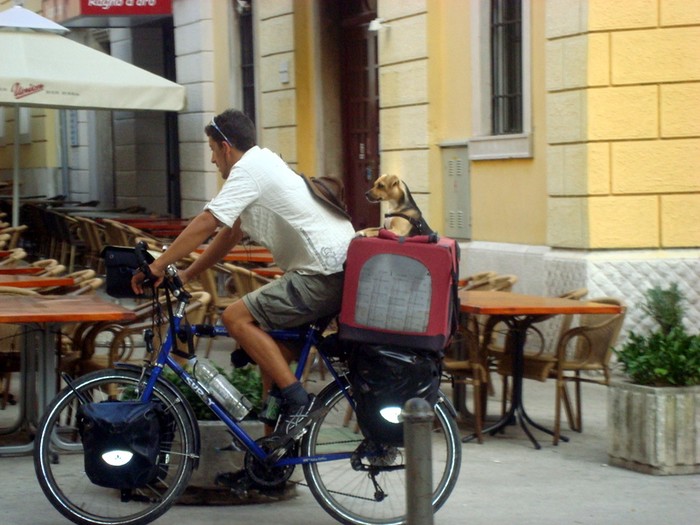 nerazdvojni par