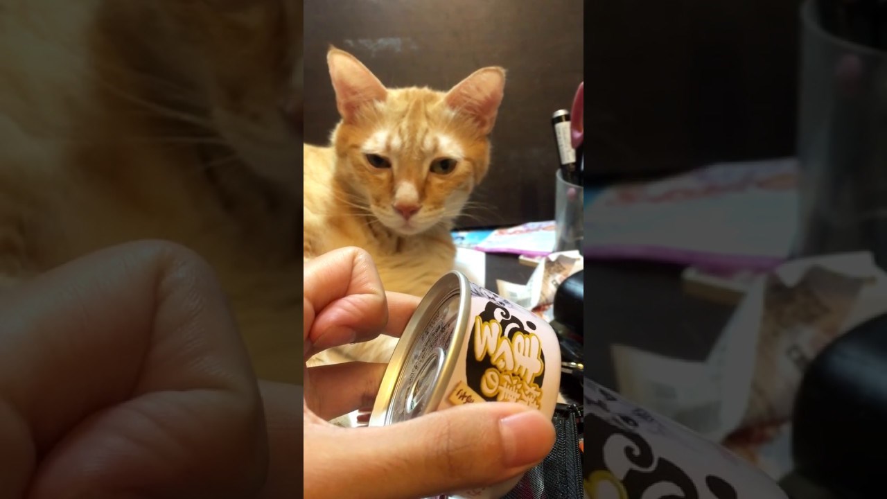 Ovo se zove brzo buđenje iz sna!