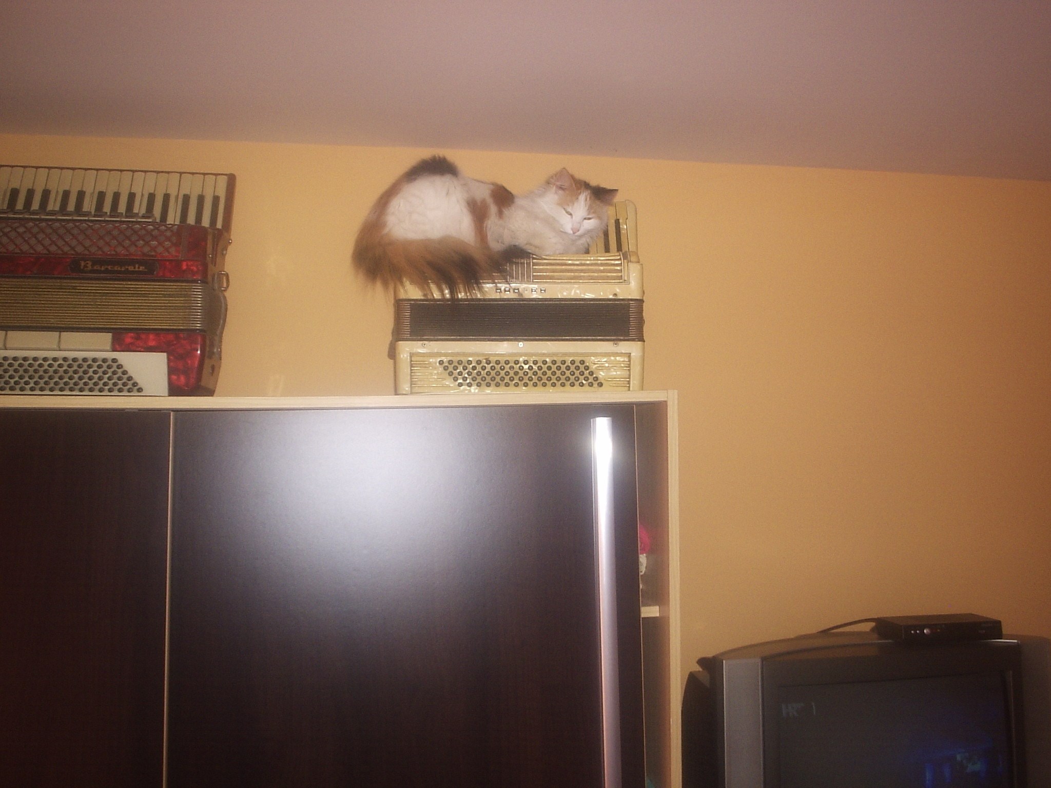 Mjesto za spavanac.....