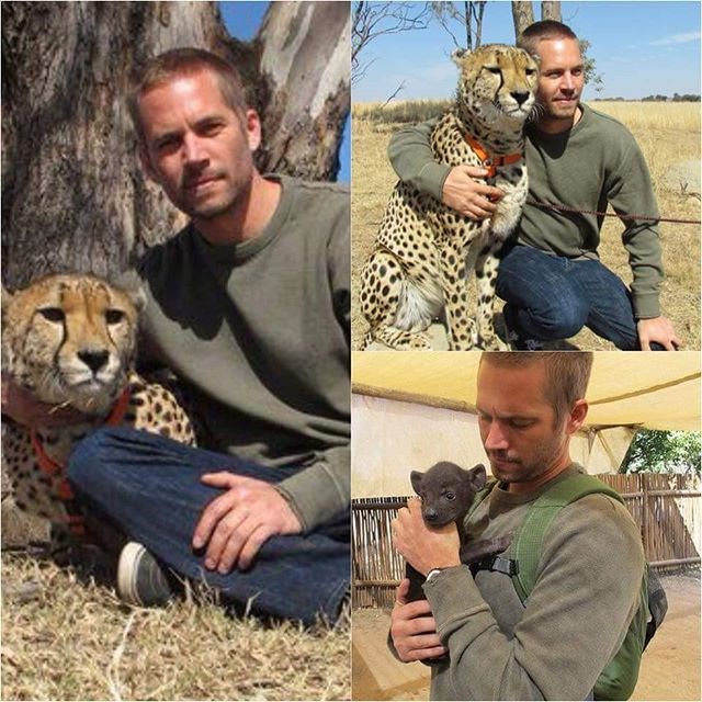 Pravi muškarac ne ubija iz zabave