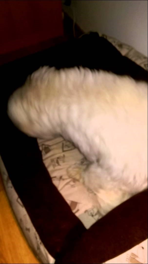 Prije spavanja treba dobro napraviti krevet! :)