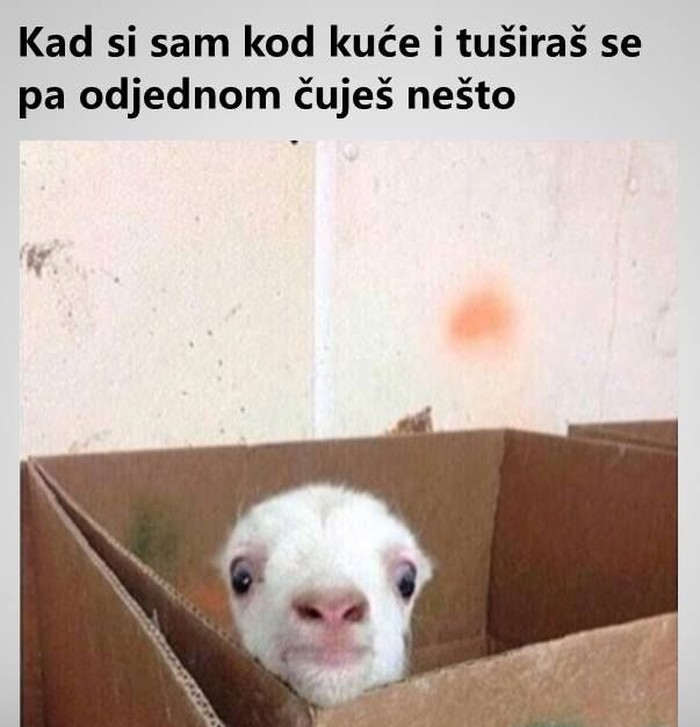 tusiranje.jpg