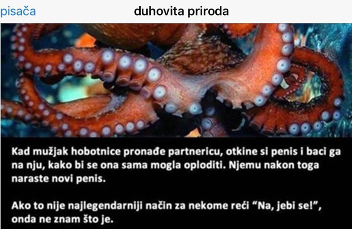 duhovita priroda hobotnica.jpg
