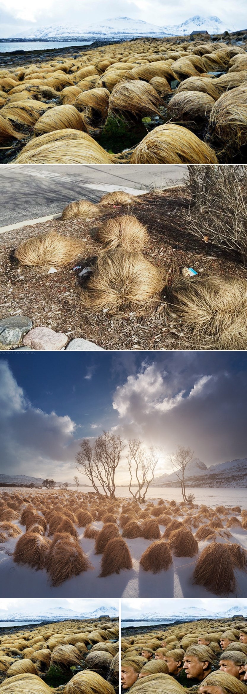 PRIJELOMNA VIJEST: Tajne fotke otkrile odakle Donald Trump nabavlja kosu!