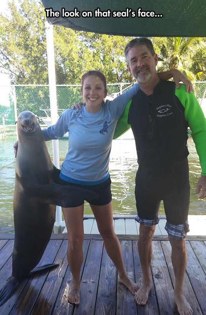 randy-seal.jpg