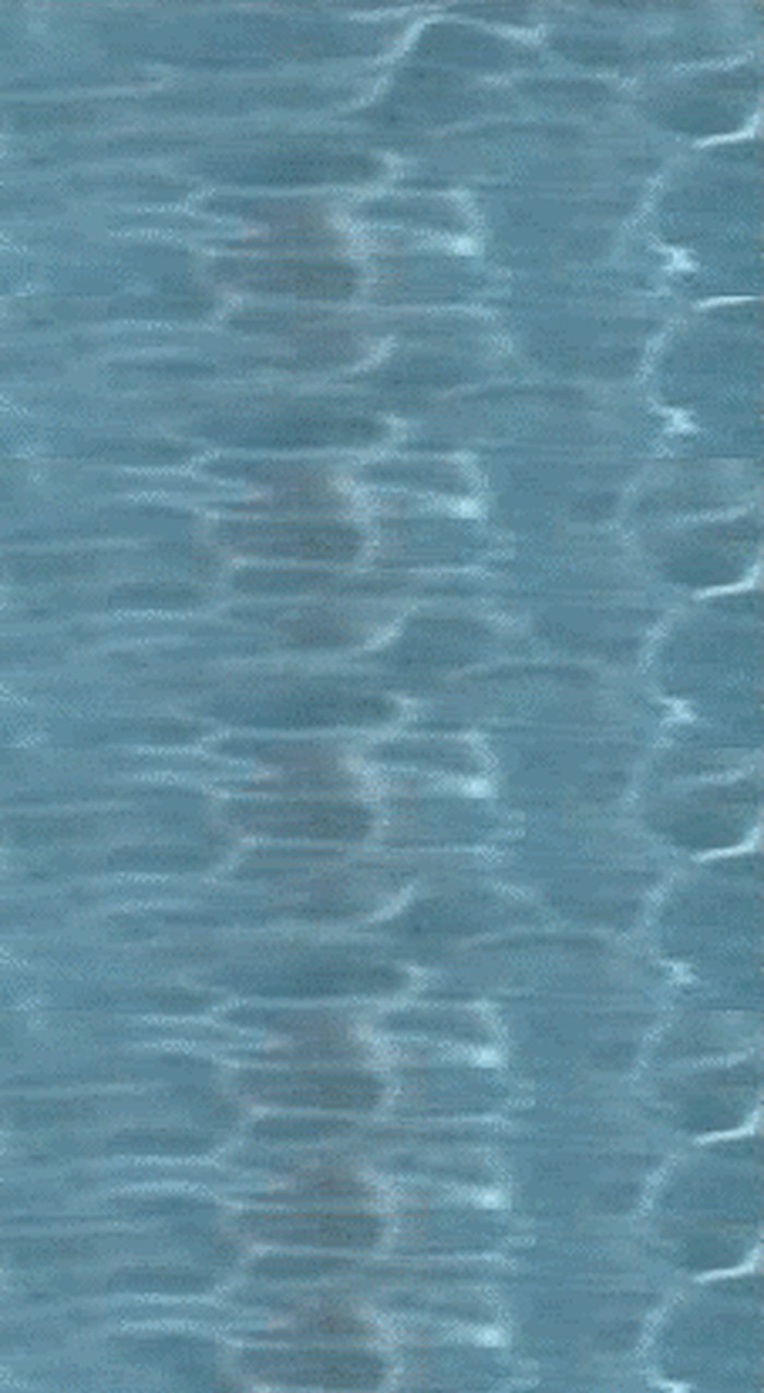 Adriana-Lima-getting-out-of-the-pool-gif.gif